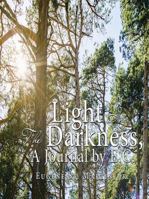 cover image of Light in the Darkness, a Journal by E.C.